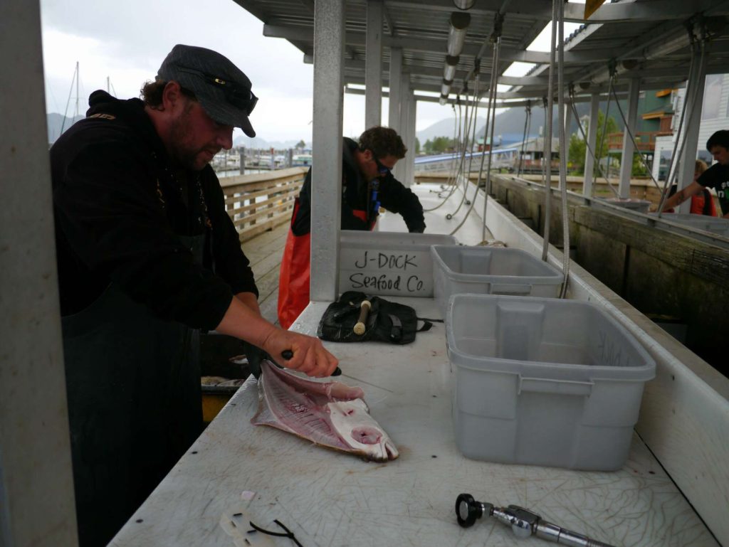 deep sea fishing in alaska