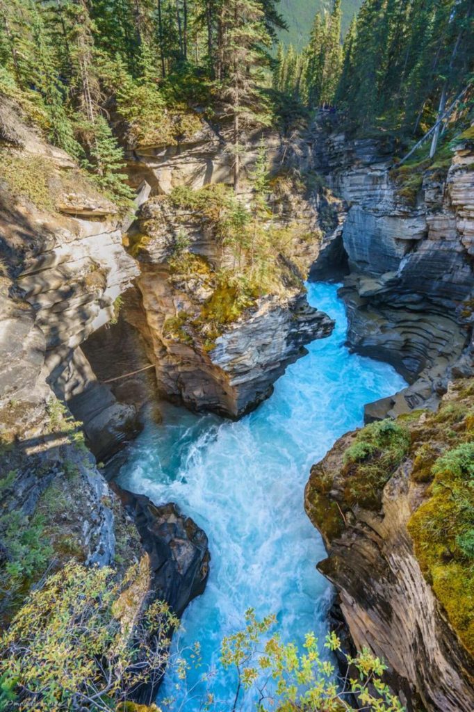 Athabasca Falls, Jasper National Park