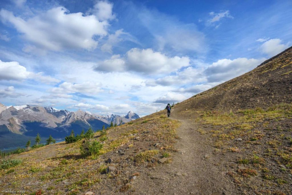 Bald Hills Trail, Jasper National Park