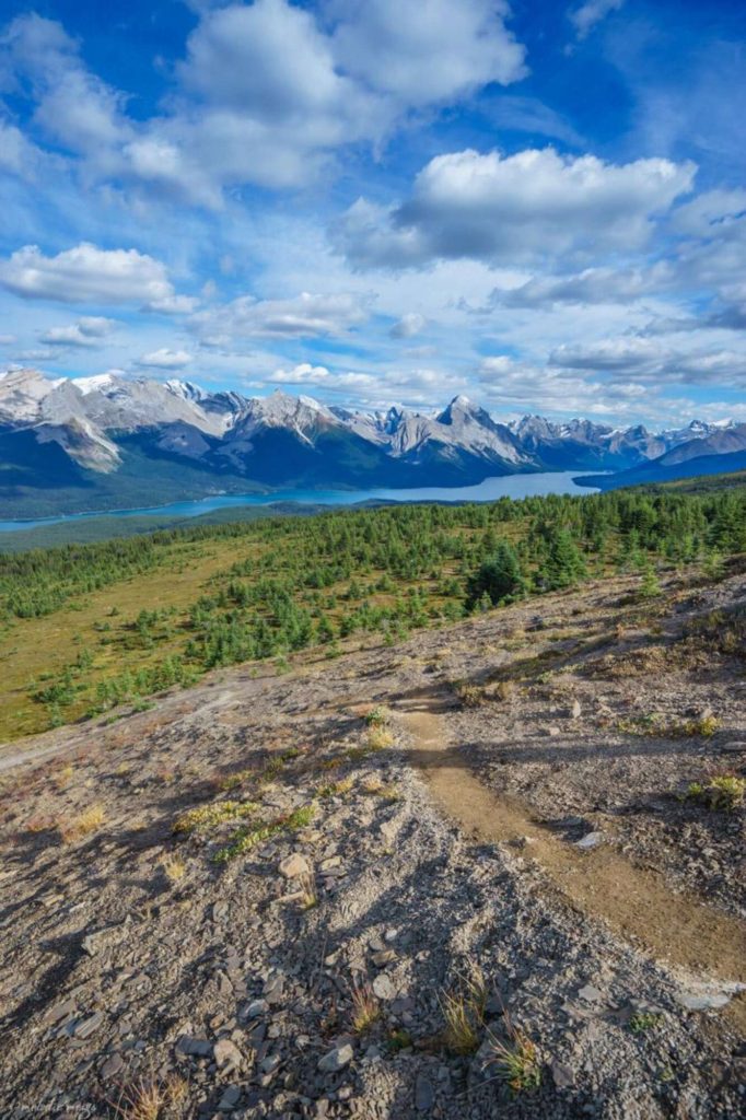 Bald Hills Trail, Jasper National Park