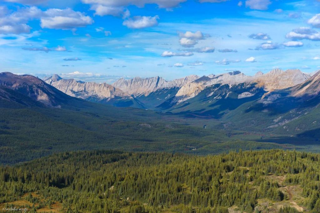 Bald Hills Trail, Jasper National Park