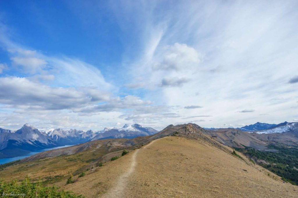 Bald Hills Trail, Jasper National Park