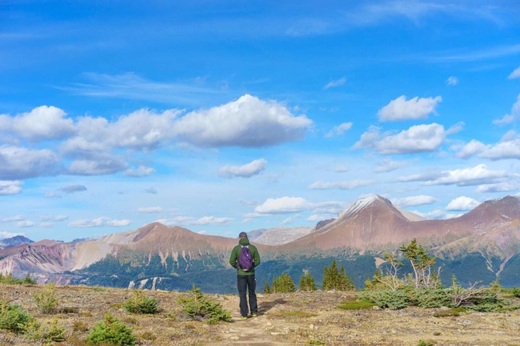 Bald Hills Trail, Jasper National Park