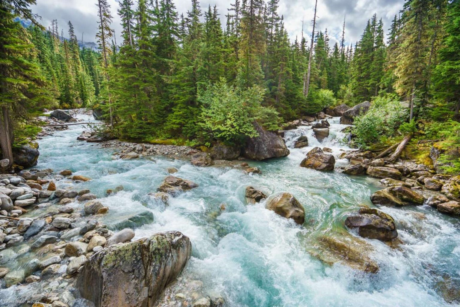 Mt. Revelstoke, Glacier, Yoho National Parks (British Columbia ...