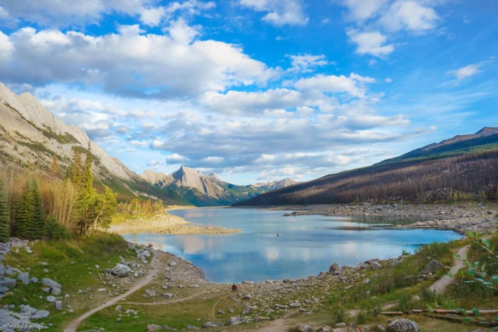 icefields parkway view