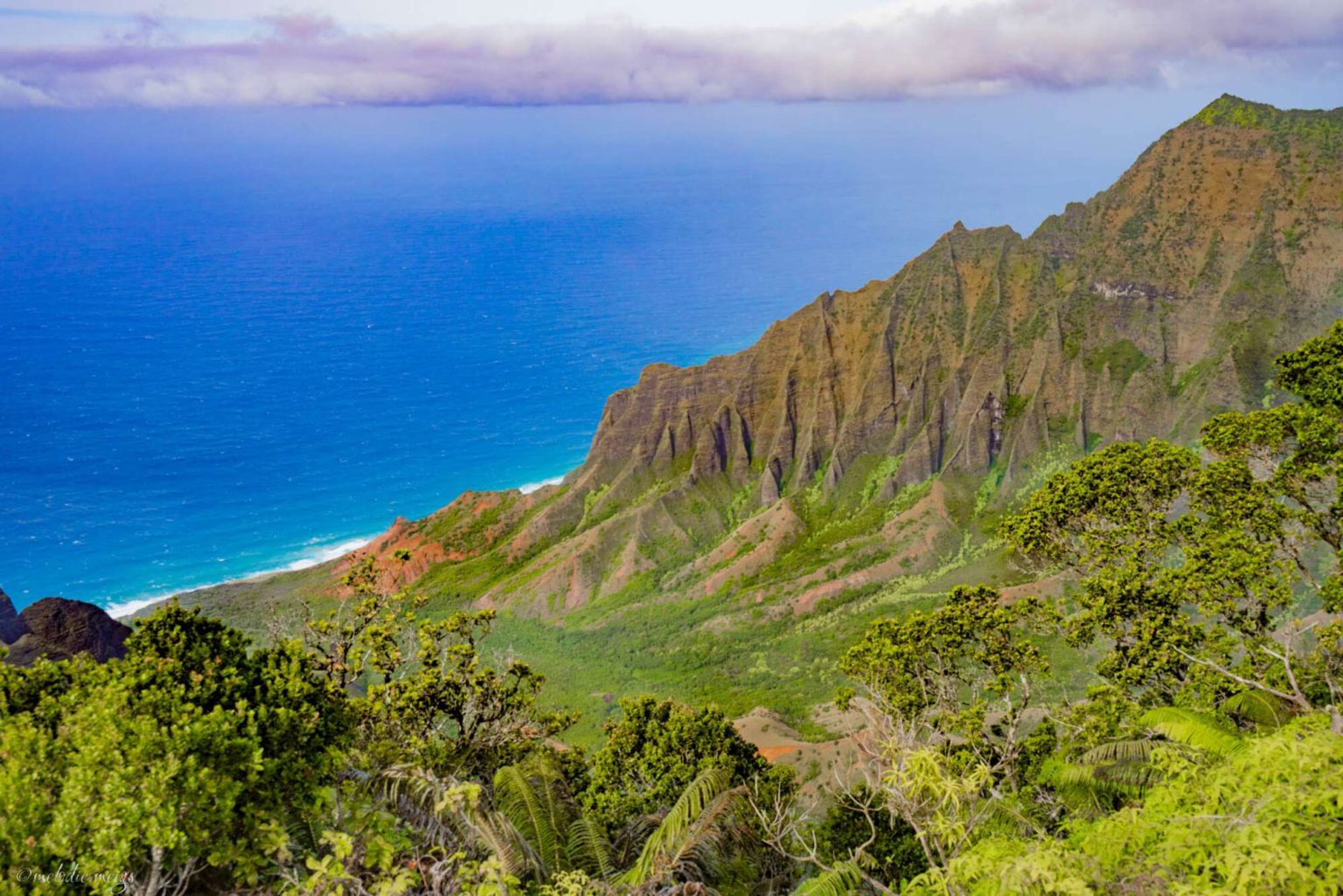 Family-Friendly Hiking Guide to Kaua'i - patchwork&pebbles