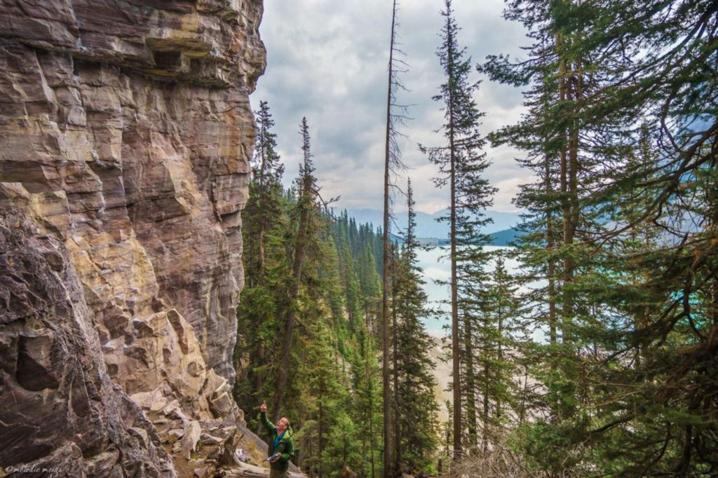 Lake Louise climbing wall