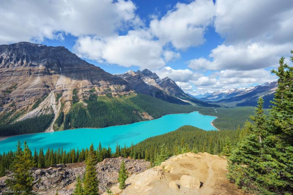 Peyto Lake, banff national park