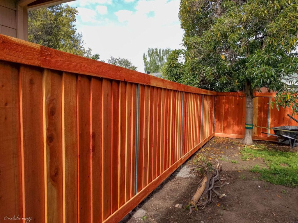 The Ultimate Collection of Privacy Fence Ideas (Create Any Design